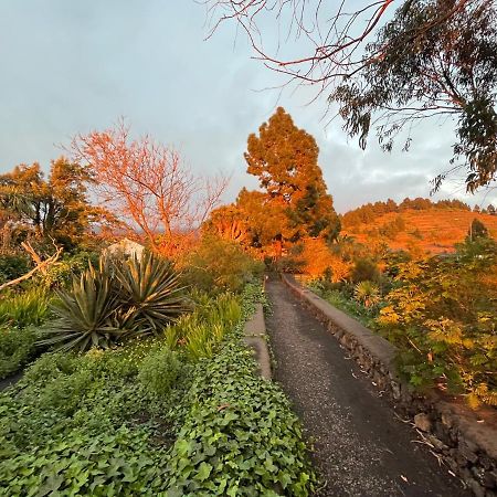 El Oasis 호텔 엘파소 외부 사진