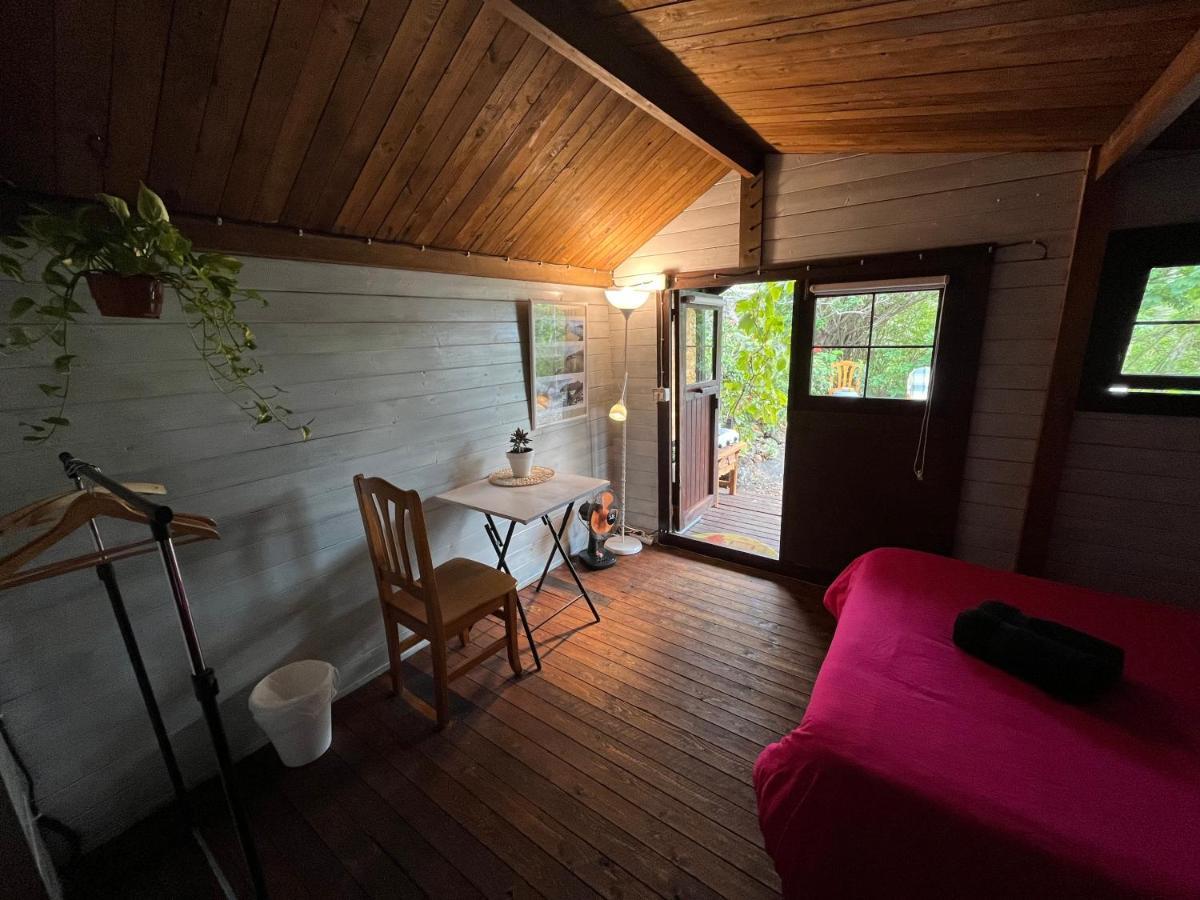 El Oasis 호텔 엘파소 외부 사진